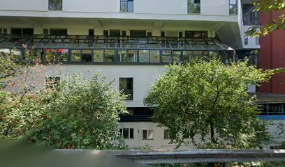 Dental Hospital - Dentist