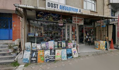 Beyza Yılmaz Diş Muayenehanesi