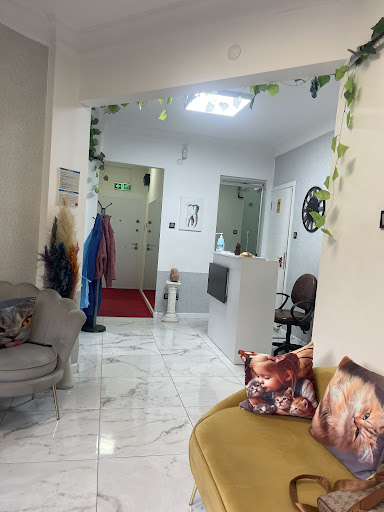 CLINIC MODA — 3