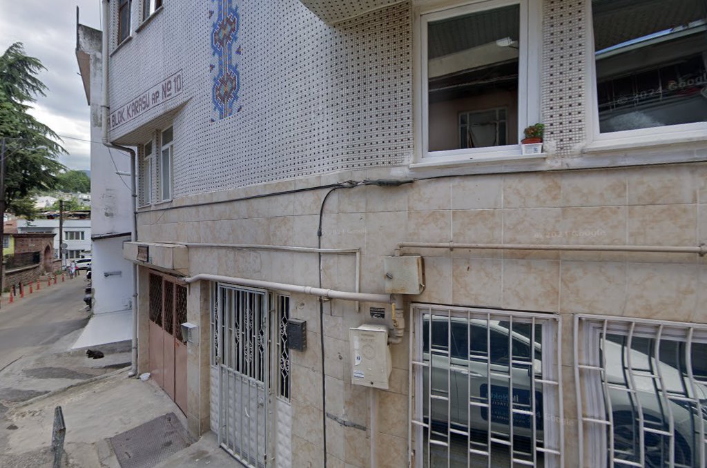 Efes Dental — 4