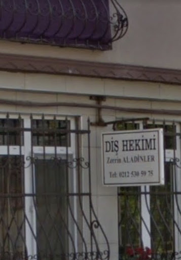 Diş Hekimi Zerrin Aladinler — 3