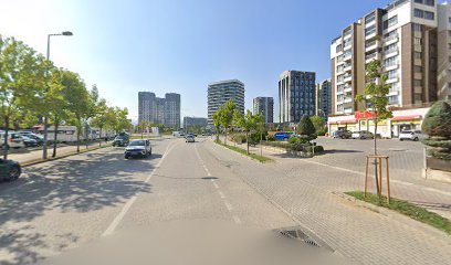 Diş Hekimi Arman Kömür
