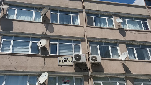 Diş Hekimi