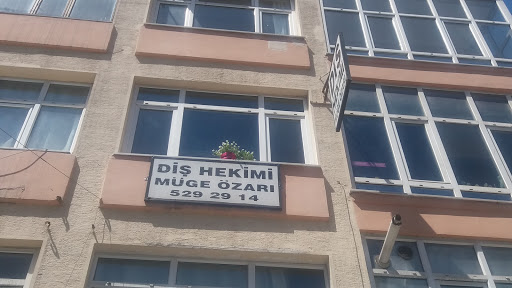 Diş Hekimi Müge Özarı