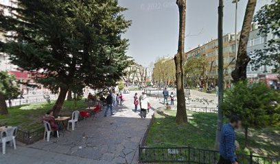 Dr. Dt. Münip Çolakoğlu, Diş Hekimi