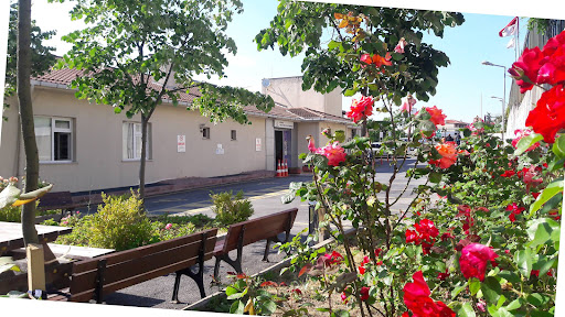 Beykoz Ağız ve Diş Sağlığı Merkezi,Beykoz Oral and Dental Health Center — 2