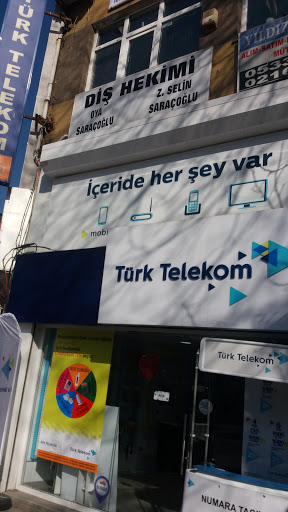 Dr. Zehra Selin Saraçoğlu,Dr. Zehra Selin Saracoglu — 3