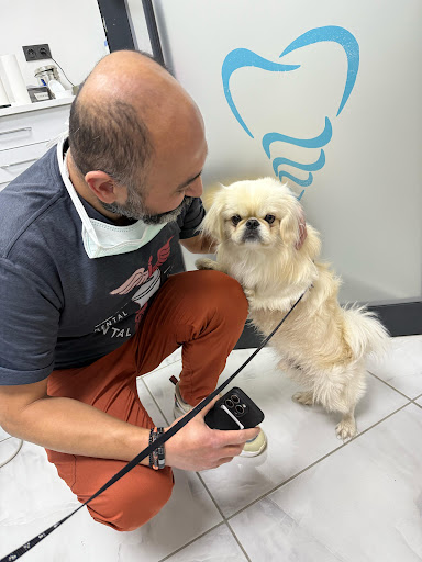 DentaMerzifon Özel Ağız ve Diş Sağlığı Polikliniği Dt. Hakan YİĞİT — 4