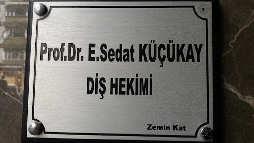 Prof. Dr. E. Sedat Küçükay — 4