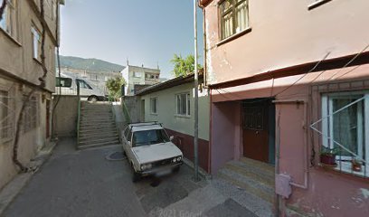 Dt. Gizem Şentürk, Diş Hekimi