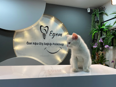 Diş Hekimi Emine Kara