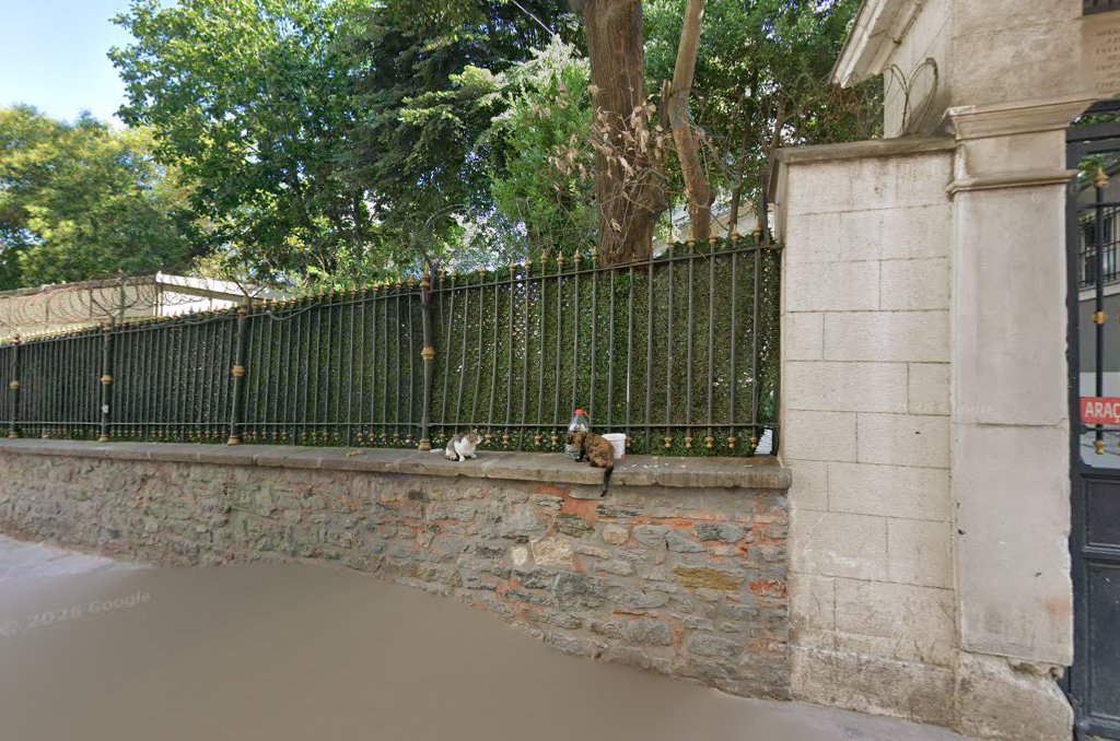 Diş Hekimi Gül Oskaylar — 4