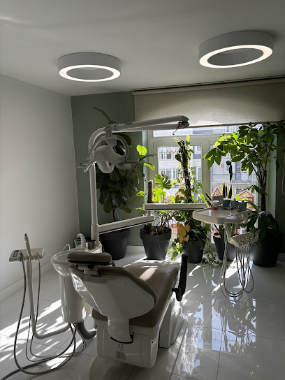 Dr. Dt. Gamze Zeynep Adem Siyli, Periodontoloji, Diş hekimi