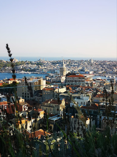 DG Health Care Turkey — 4