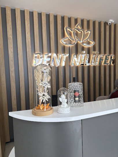 Dent Nilüfer Ağız ve Diş Sağlığı Merkezi - Bursa Diş Hekimi - İmplant - Ortodonti - Estetik Diş Hekimliği - Çocuk Diş Hekimi