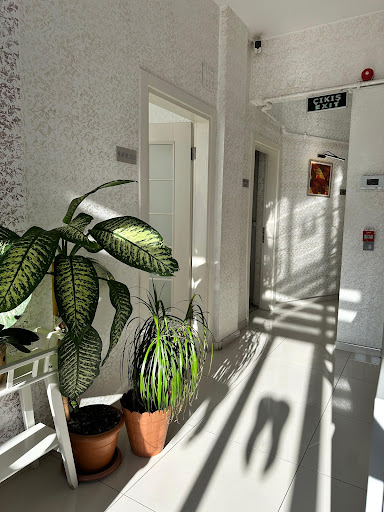 PERADENTAL — 4