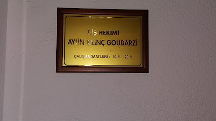 Dr. Kambiz Goudarzi
