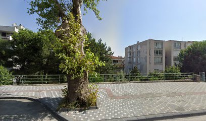 Dt. Hande Palalı